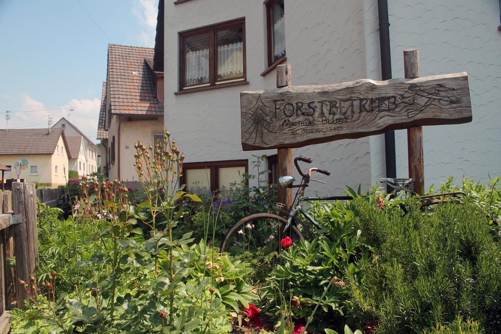 Haus Am Bergli Lejlighed Herbolzheim Værelse billede