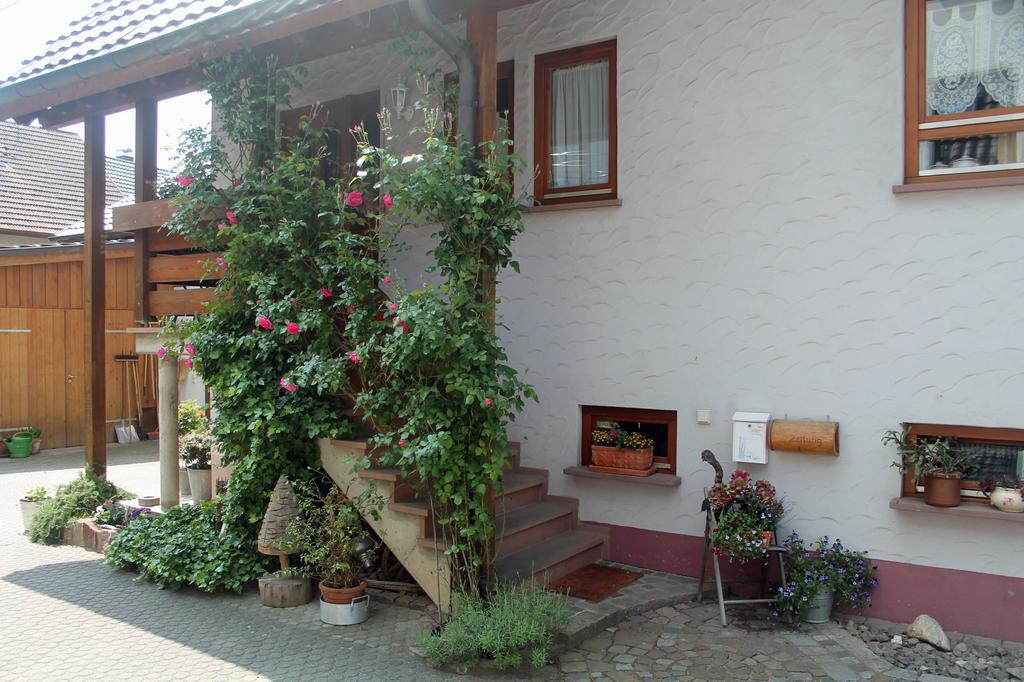 Haus Am Bergli Lejlighed Herbolzheim Værelse billede