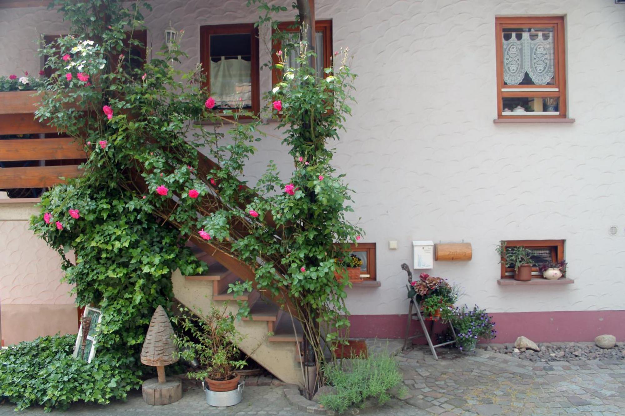 Haus Am Bergli Lejlighed Herbolzheim Eksteriør billede
